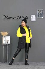 ژیله