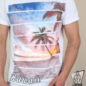 تیشرت یقه گرد