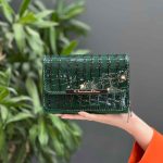 کیف ورنی طرح دار DIOR در ونوس مد