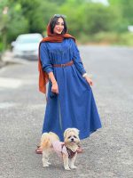 انزلی